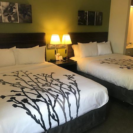 Sleep Inn Raleigh Durham Airport מראה חיצוני תמונה